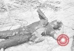 Image of Marines Tarawa Gilbert Islands, 1943, second 61 stock footage video 65675052287
