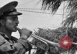 Image of Marine General Smith Tarawa Gilbert Islands, 1943, second 33 stock footage video 65675052288