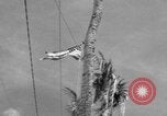 Image of Marine General Smith Tarawa Gilbert Islands, 1943, second 42 stock footage video 65675052288