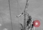 Image of Marine General Smith Tarawa Gilbert Islands, 1943, second 43 stock footage video 65675052288