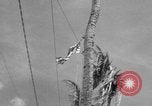 Image of Marine General Smith Tarawa Gilbert Islands, 1943, second 45 stock footage video 65675052288