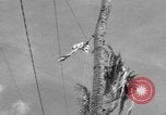 Image of Marine General Smith Tarawa Gilbert Islands, 1943, second 47 stock footage video 65675052288