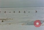 Image of Marines Tarawa Gilbert Islands, 1943, second 44 stock footage video 65675052290