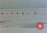 Image of Marines Tarawa Gilbert Islands, 1943, second 45 stock footage video 65675052290