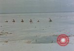 Image of Marines Tarawa Gilbert Islands, 1943, second 46 stock footage video 65675052290