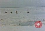 Image of Marines Tarawa Gilbert Islands, 1943, second 47 stock footage video 65675052290