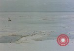 Image of Marines Tarawa Gilbert Islands, 1943, second 53 stock footage video 65675052290