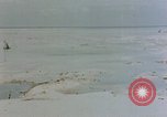 Image of Marines Tarawa Gilbert Islands, 1943, second 54 stock footage video 65675052290