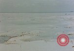 Image of Marines Tarawa Gilbert Islands, 1943, second 55 stock footage video 65675052290