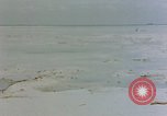 Image of Marines Tarawa Gilbert Islands, 1943, second 56 stock footage video 65675052290