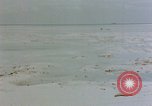 Image of Marines Tarawa Gilbert Islands, 1943, second 58 stock footage video 65675052290