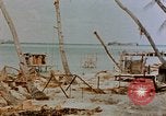 Image of Marines Tarawa Gilbert Islands, 1943, second 3 stock footage video 65675052291
