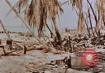 Image of Marines Tarawa Gilbert Islands, 1943, second 18 stock footage video 65675052291