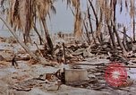 Image of Marines Tarawa Gilbert Islands, 1943, second 21 stock footage video 65675052291