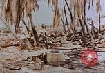 Image of Marines Tarawa Gilbert Islands, 1943, second 22 stock footage video 65675052291