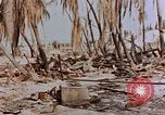 Image of Marines Tarawa Gilbert Islands, 1943, second 24 stock footage video 65675052291