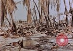 Image of Marines Tarawa Gilbert Islands, 1943, second 26 stock footage video 65675052291