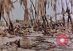 Image of Marines Tarawa Gilbert Islands, 1943, second 27 stock footage video 65675052291