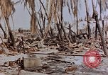 Image of Marines Tarawa Gilbert Islands, 1943, second 28 stock footage video 65675052291