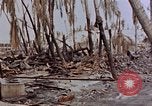 Image of Marines Tarawa Gilbert Islands, 1943, second 32 stock footage video 65675052291