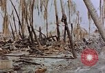 Image of Marines Tarawa Gilbert Islands, 1943, second 33 stock footage video 65675052291