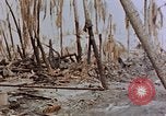 Image of Marines Tarawa Gilbert Islands, 1943, second 36 stock footage video 65675052291