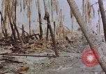 Image of Marines Tarawa Gilbert Islands, 1943, second 39 stock footage video 65675052291