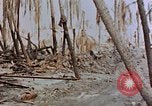 Image of Marines Tarawa Gilbert Islands, 1943, second 40 stock footage video 65675052291