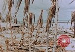 Image of Marines Tarawa Gilbert Islands, 1943, second 46 stock footage video 65675052291
