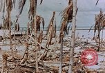 Image of Marines Tarawa Gilbert Islands, 1943, second 47 stock footage video 65675052291