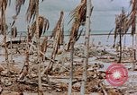 Image of Marines Tarawa Gilbert Islands, 1943, second 48 stock footage video 65675052291