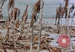 Image of Marines Tarawa Gilbert Islands, 1943, second 49 stock footage video 65675052291