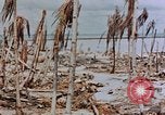 Image of Marines Tarawa Gilbert Islands, 1943, second 50 stock footage video 65675052291