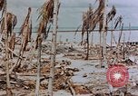 Image of Marines Tarawa Gilbert Islands, 1943, second 51 stock footage video 65675052291
