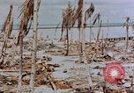 Image of Marines Tarawa Gilbert Islands, 1943, second 53 stock footage video 65675052291