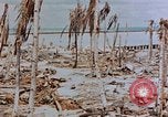 Image of Marines Tarawa Gilbert Islands, 1943, second 54 stock footage video 65675052291