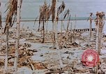 Image of Marines Tarawa Gilbert Islands, 1943, second 55 stock footage video 65675052291