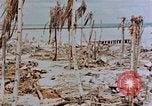 Image of Marines Tarawa Gilbert Islands, 1943, second 56 stock footage video 65675052291