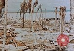 Image of Marines Tarawa Gilbert Islands, 1943, second 57 stock footage video 65675052291
