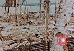 Image of Marines Tarawa Gilbert Islands, 1943, second 62 stock footage video 65675052291