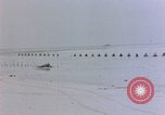 Image of Marines Tarawa Gilbert Islands, 1943, second 21 stock footage video 65675052292