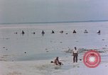 Image of Marines Tarawa Gilbert Islands, 1943, second 45 stock footage video 65675052292
