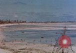 Image of Marines Tarawa Gilbert Islands, 1943, second 62 stock footage video 65675052292