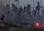 Standbild 4 US-Marine Division in der Schlacht Marshall Inseln, 1944, aus Sekunde 39 historischem Filmmaterial Videoclip 65675052298