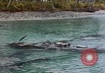 Image of marines Tarawa Gilbert Islands, 1944, second 21 stock footage video 65675052300