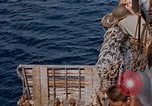 Image of marines Tarawa Gilbert Islands, 1944, second 53 stock footage video 65675052300