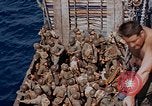 Image of marines Tarawa Gilbert Islands, 1944, second 56 stock footage video 65675052300