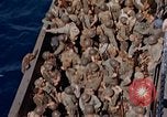 Image of marines Tarawa Gilbert Islands, 1944, second 58 stock footage video 65675052300