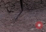 Standbild USA Officer Vietnam Bien Hoa Air Base, 1968, aus Sekunde 61 historischem Filmmaterial Videoclip 65675052304