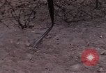 Standbild USA Officer Vietnam Bien Hoa Air Base, 1968, aus Sekunde 62 historischem Filmmaterial Videoclip 65675052304